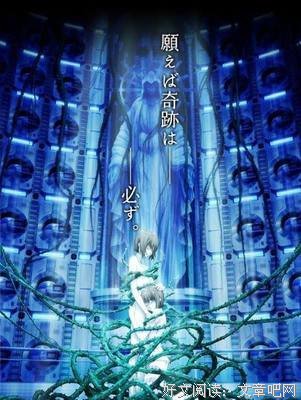 最新的《荆棘王座》小说句子