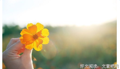 最全的《萧十一郎》经典的句子大全