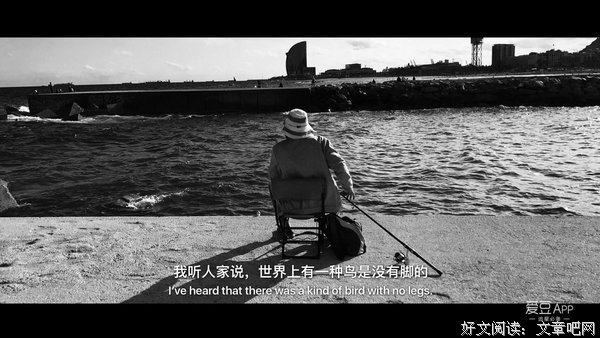 最新的《阿飞正传》电影台词