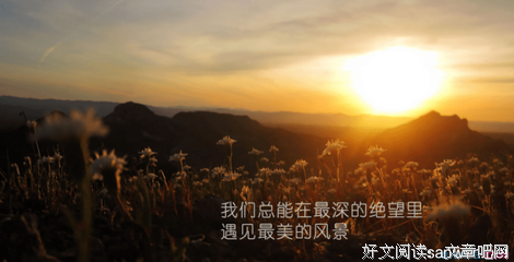 最新的《陌上花开》名句欣赏大全