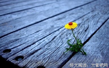 愤世嫉俗的名句_关于愤世嫉俗的名句