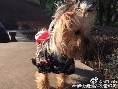 关于焦急名言名句