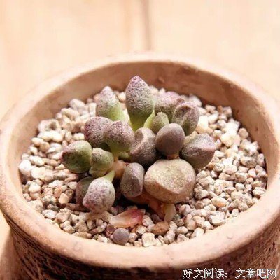 描写玛丽安的经典句子