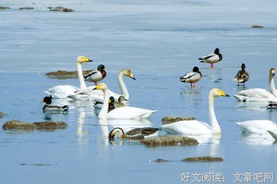 关于明秀名言名句