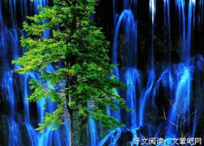 关于月风花的格言