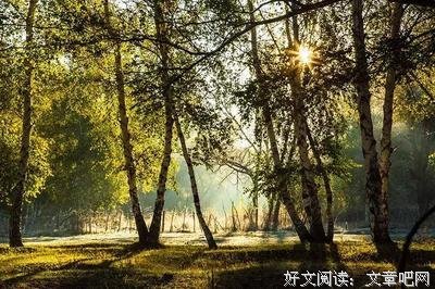 伴读：人生有这三愿，足矣