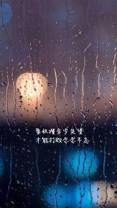 情句的句子
