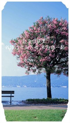 有关刘辉煌殇的句子
