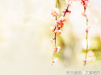 有关短句的句子