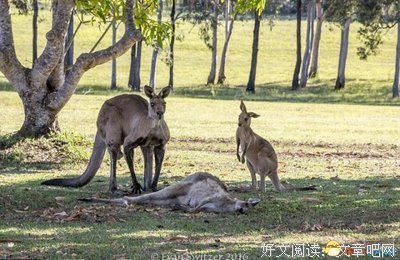 “我抱着他哭的时候，他抱着我打游戏”