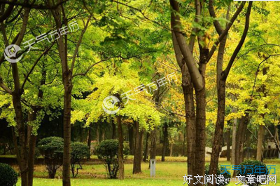 自由的灵魂句子大全