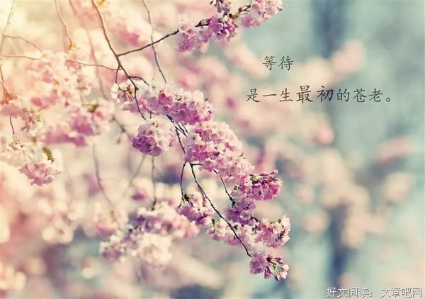 最新的陈祥炎经典语录
