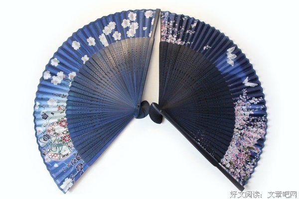 蓝蝴蝶zy名言大全