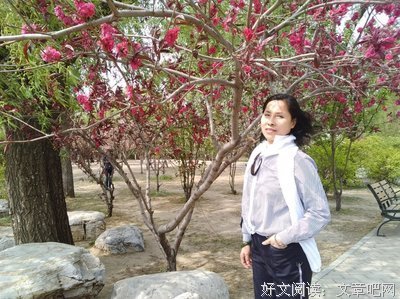 最经典的上官阿雅名言