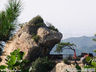 千山茶客座右铭