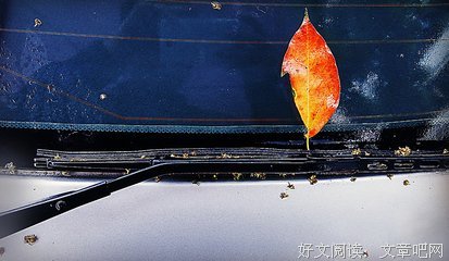关于叶落无心经典名句