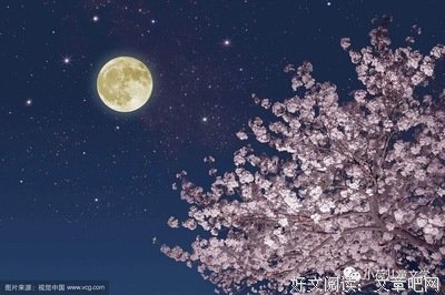 最经典的《不眠的珍珠》名句欣赏
