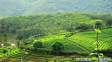 吴银娟：阿黑耶