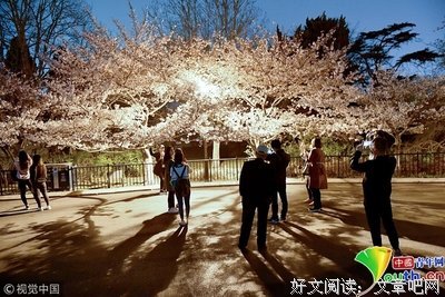 最全的《夜色玛奇莲》名句欣赏