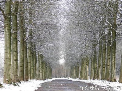 《旷代的忧伤》名句欣赏大全
