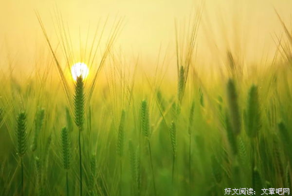 想开，便是晴天 