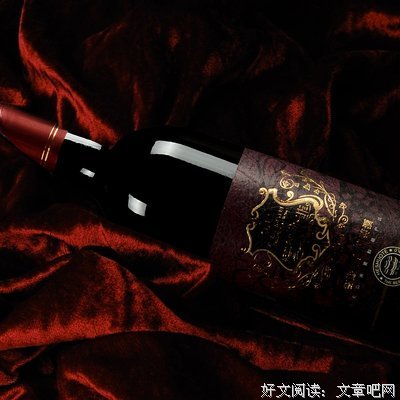 沙菲的名句_关于沙菲的名句