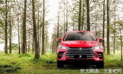狂傲的语句摘抄_关于狂傲的语句