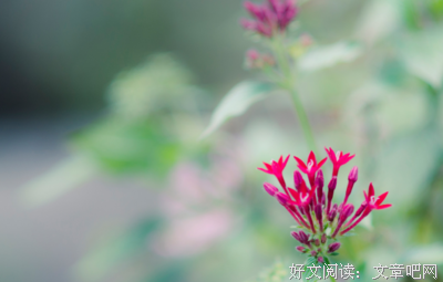 可惜的句子