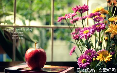 关于一般说来的唯美语录