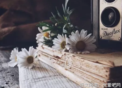 小说 唉唉唉好词好句