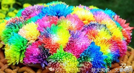 繁华梦句子大全