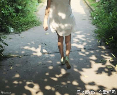 关于野象小姐名言