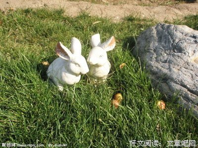 陶瓷兔子的名句