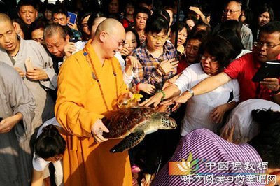 关于海涛法师的名句