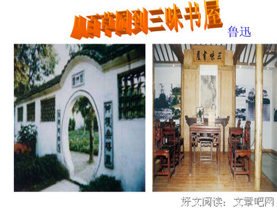 最新的牛奶咖啡名言大全