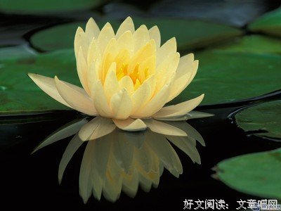 关于蓝白格子名句欣赏