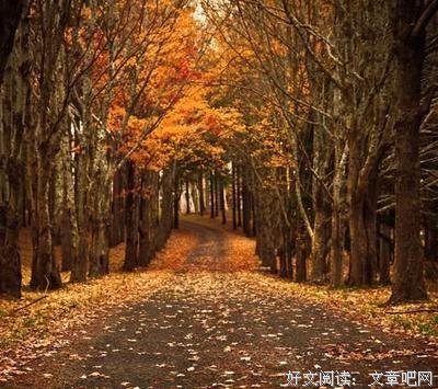 最新的《能量脉轮书》经典语句