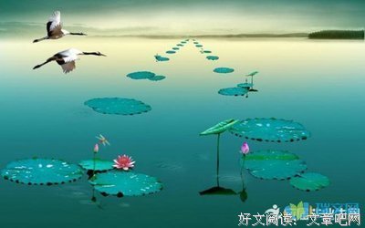 最全的《送你一匹马》美文美句