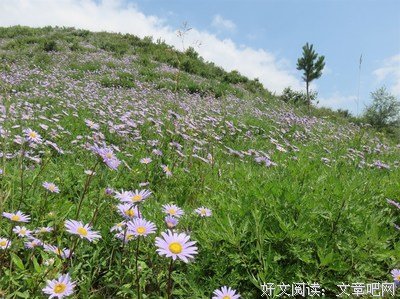 高飞：踏马归去马蹄香