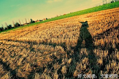 最全的《麦田守望者》经典句子