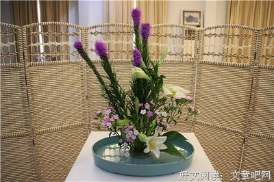 《心灵午夜密谈》语录摘抄