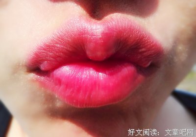 《老子是癞蛤蟆》名句欣赏