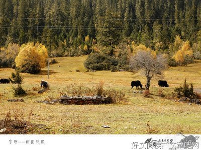 观照生命心路的印记