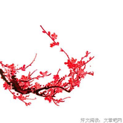 小说优美的句子