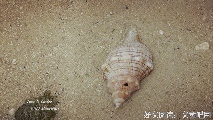 关于马克·吐温的名言名句