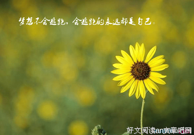 最全的漫漫何其多名言警句