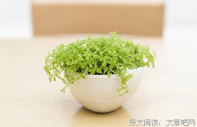 最新的《你是男的我也爱》语录摘抄大全