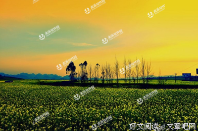最经典的《总裁，我要离婚》经典语录
