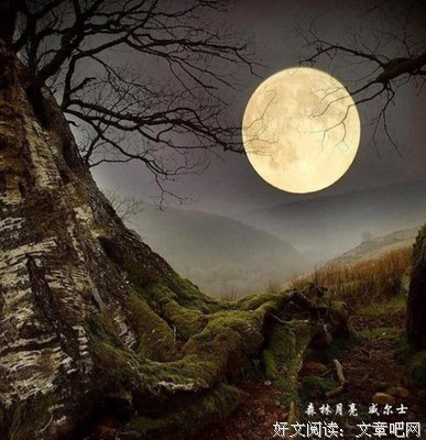 最新的《没有水没有月亮》经典名句