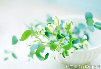 最经典的《龙族3·黑月之潮》经典的句子大全